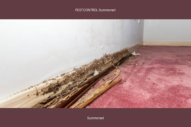 PEST CONTROL Summerset